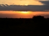 Sonnenuntergang beim Bush Walk