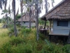 Maromboi Tented Camp