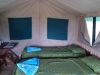 Whistling Thorn Camp