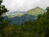 Fahrt vom Selous zu den Udzungwa Mountains
