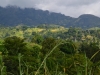 Fahrt vom Selous zu den Udzungwa Mountains