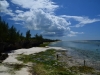 Aussicht von Sunshine Marine Lodge bei Ebbe