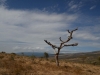 Mittagspause im Busch des Ngorongoro Hochland.