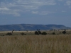 Serengeti