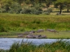 Safari im Krater