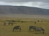 Ngorongoro Crater