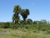 Arusha Nationalpark