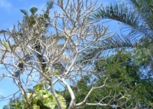 Tagesausflug nach Bagamoyo