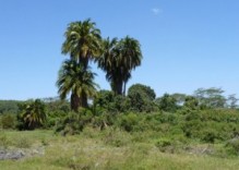10 Tage Safari und Kultur im Norden Tansanias