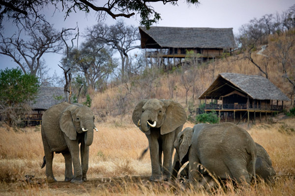 Safari Hotels Tansania