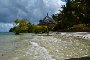Mafia Island