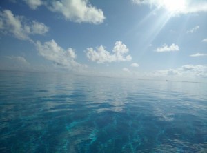 Tauchen Mnemba Island