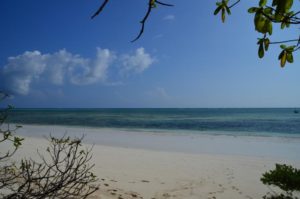 Michamvi Beach - Sansibar